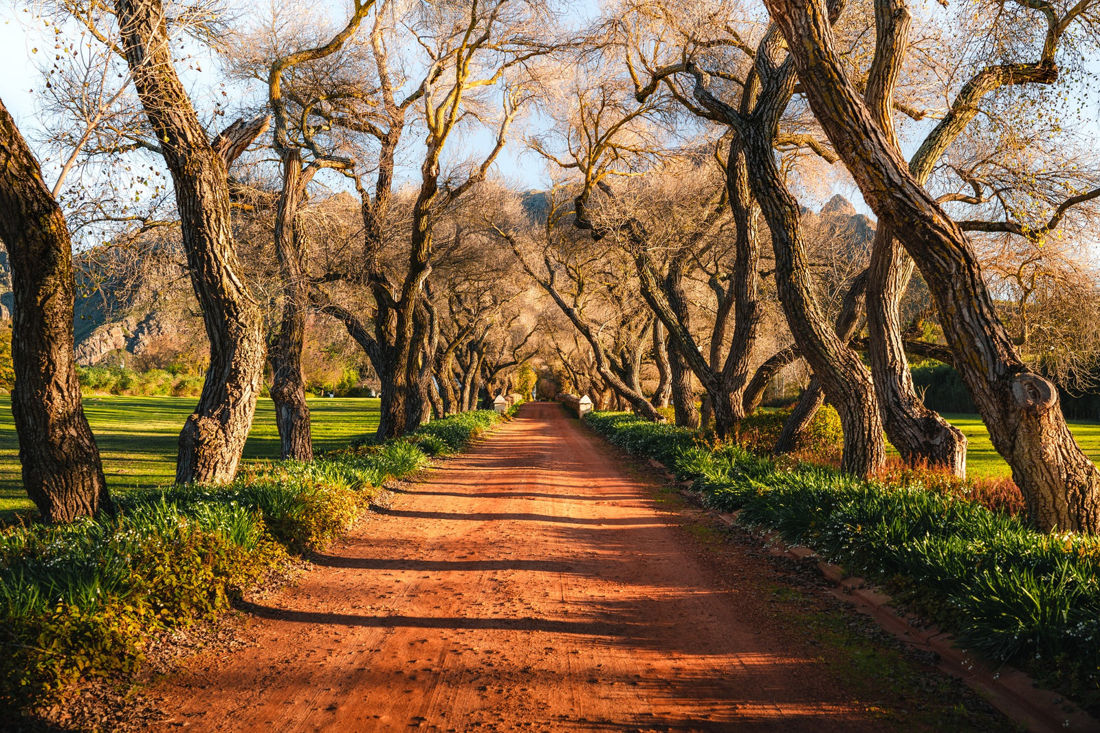 Top Wineries To Visit On Your Trip – Part 5