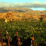 Cederberg Wines