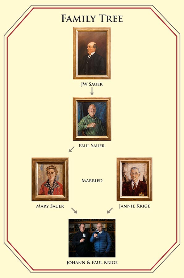 Featured Winery - Kanonkop Wine Estate Kanonkop Wines Family Tree