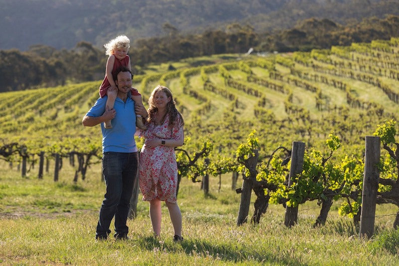McLaren Vale - Alternative Grape Varietals in Australia Aphellion Wines