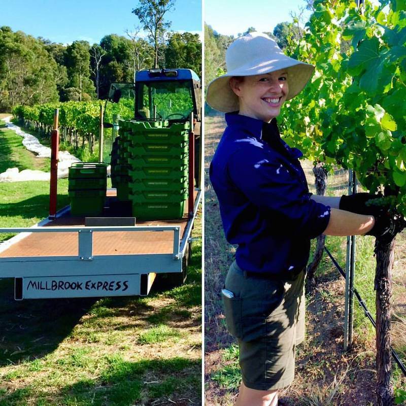 Featured winemaker – Adair Davies Adair Davies