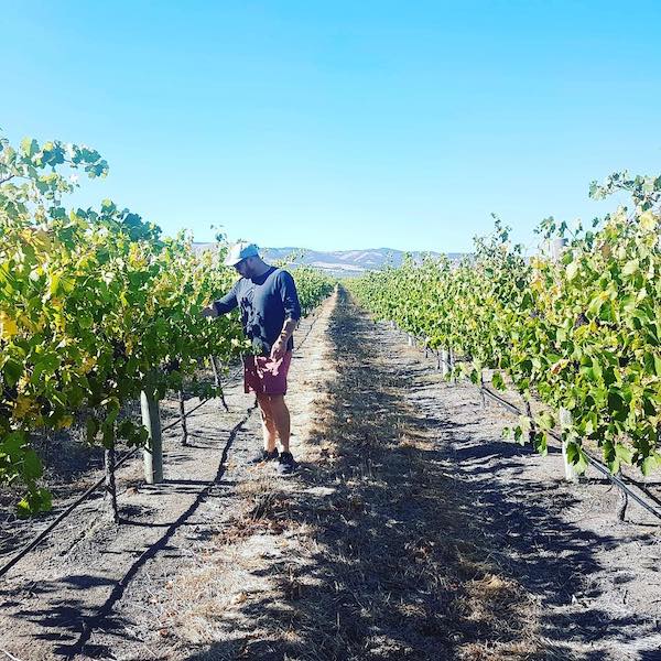 Featured winery: Berg Herring Featured winery: Berg Herring