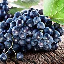 Featured grape varietal: Nero - The Black Grape of Avola Featured grape varietal: Nero - The Black Grape of Avola