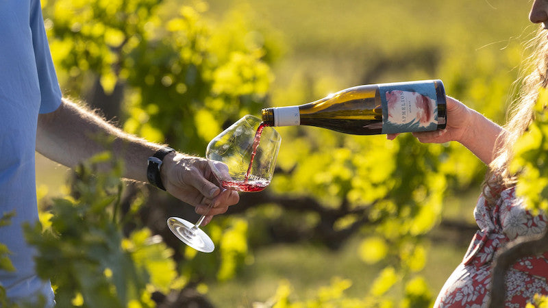 Featured winery: Aphelion Wines Featured winery: Aphelion Wines
