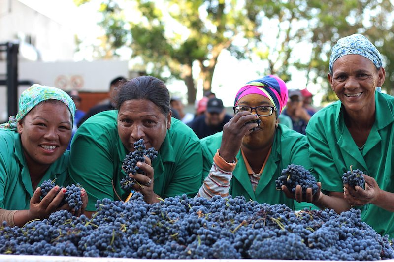 THOKOZANI – It’s more than wine Thokozani Wines