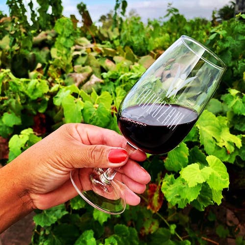 THOKOZANI – It’s more than wine Thokozani Wines