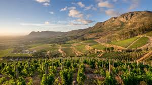 Featured wine varietal: Bordeaux style red blend Featured wine varietal: Bordeaux style red blend
