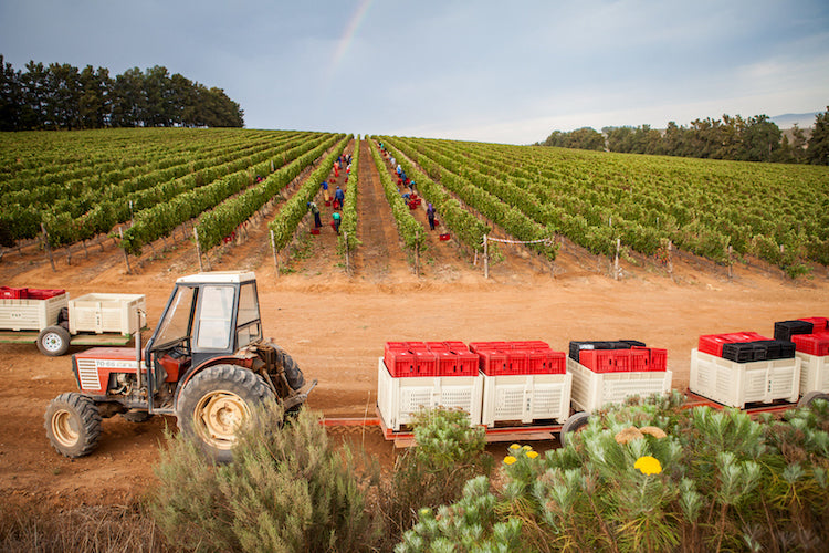 Featured Winery – Le Riche Featured Winery – Le Riche