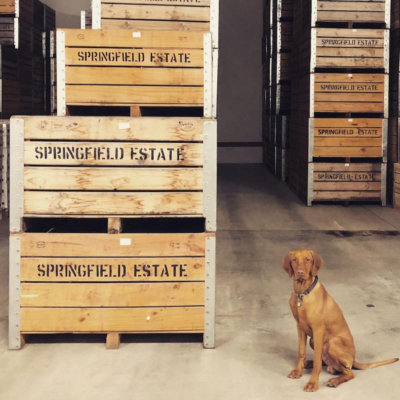 Featured winery – Springfield Estate - Made on Honour Featured winery – Springfield Estate - Made on Honour