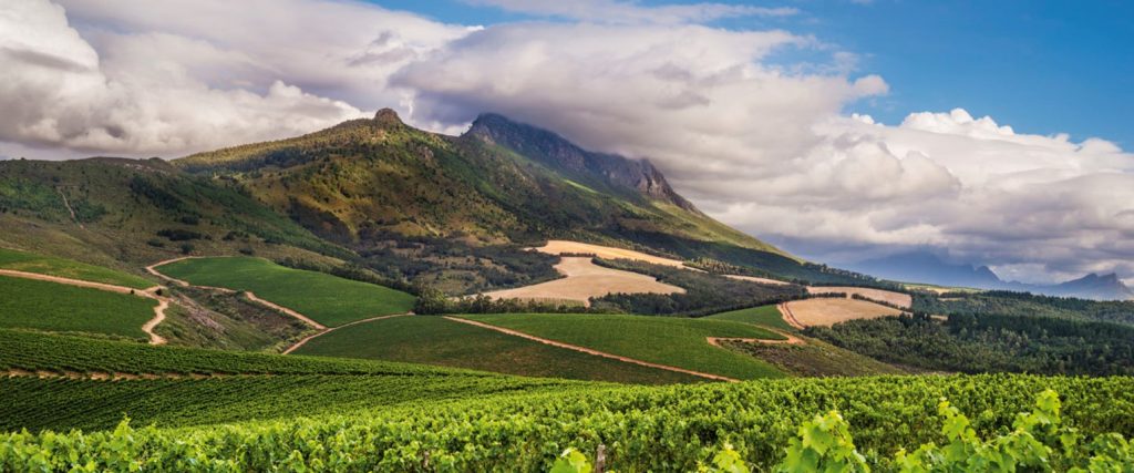 Leaders in South African Wine Kanonkop Wine estate in the heart of Stellenbosch