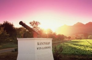 South African Wine awards – Tim Atkin, Trophy Wine Awards & Absa Top 10 Pinotage Winners Kanonkop-wine-estate