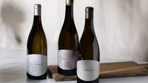 South African Wine awards – Tim Atkin, Trophy Wine Awards & Absa Top 10 Pinotage Winners Capensis-Wine