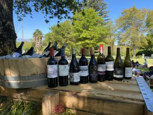 Demystifying the Scepticism of South African Wine Range of South African Wines