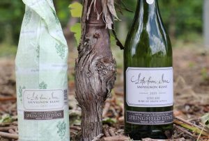 South African Sauvignon Blanc vs. Marlborough & Loire Sauvignon Blanc: A Clash of Styles Springfield Sauvignon Blanc