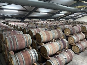 South African Wine – Where Old-World tradition meets New World Innovation Kanonkop Wine Cellar
