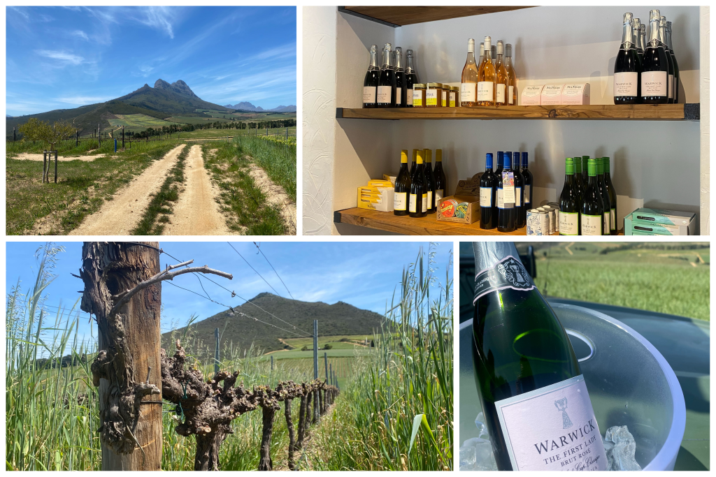 Top South African wineries to visit on your trip – Part 1 Warwick Wine Estate