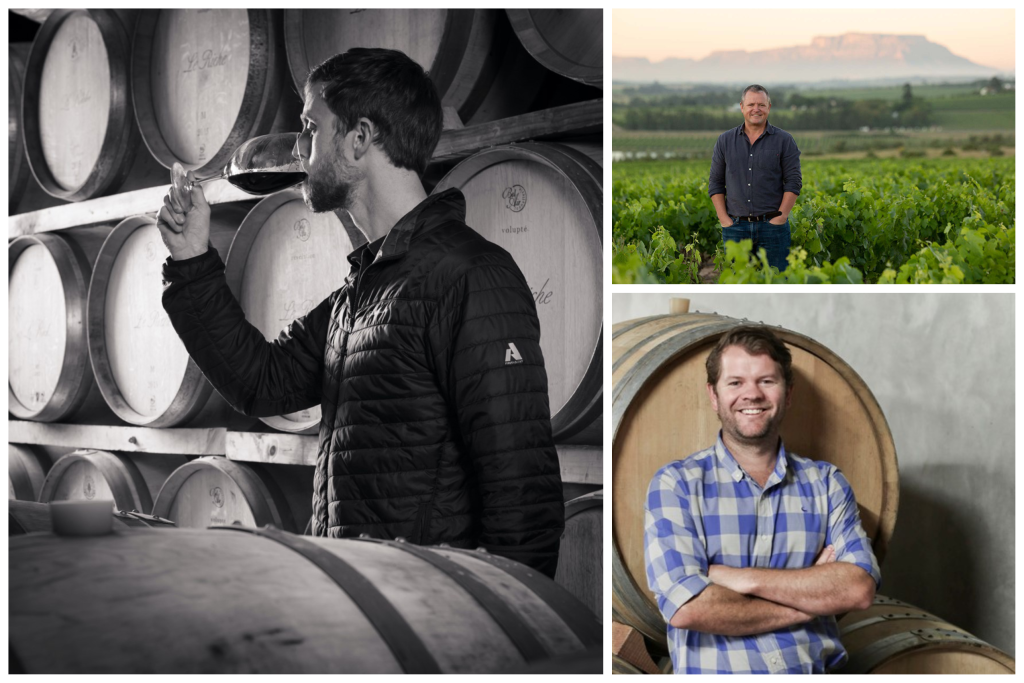 Rise of South African Wine - Cabernet Sauvignon stellenbosch cabernet collective members