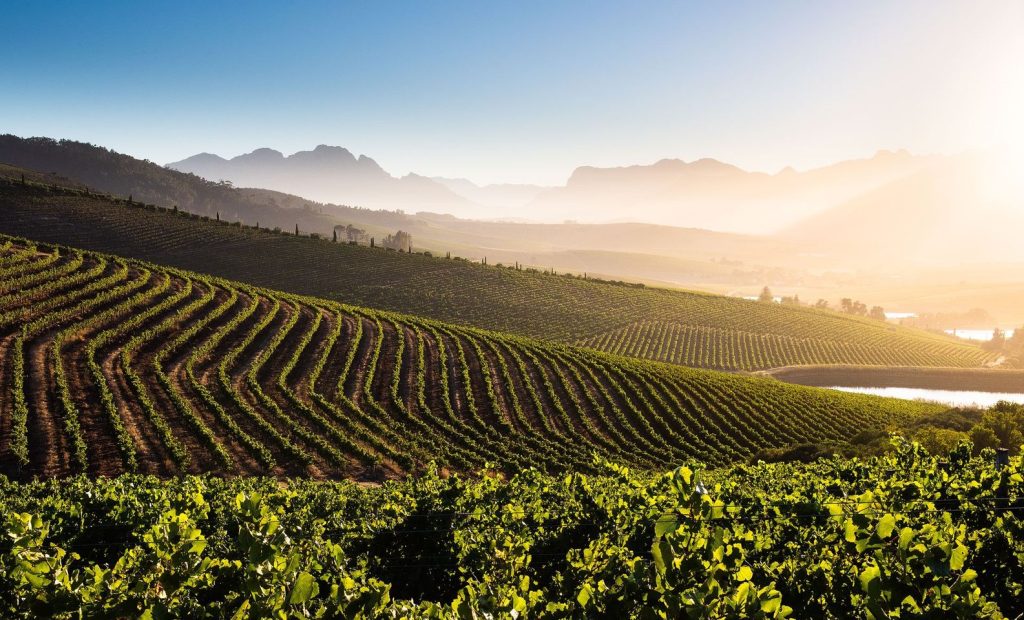 Top South African Wineries To Visit On Your Trip – Part 3 Jordan Wine Estate