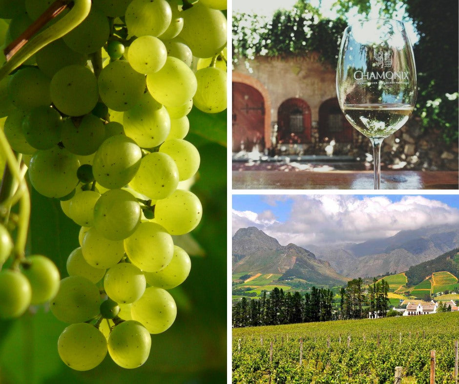 Top Wineries to visit on your trip – Part 4 Chamonix Wine Farm
