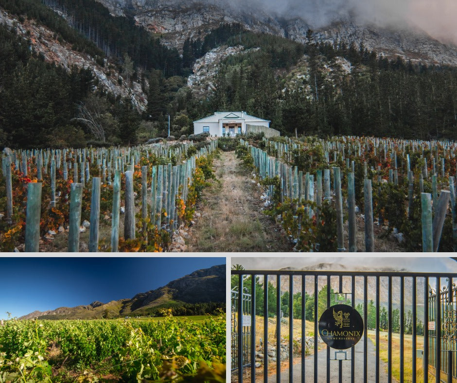 Top Wineries to visit on your trip – Part 4 Chamonix Wine Farm